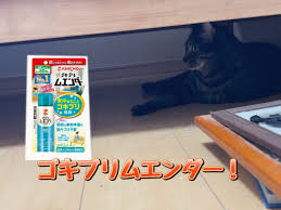 Image result for ごきぶりのピューレ