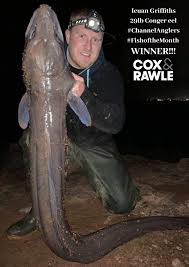 Image result for Bristol Channel Sea Fishing