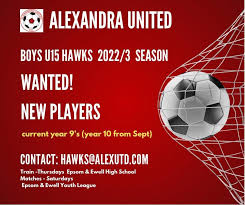 Image result for Alexandra United Football Club