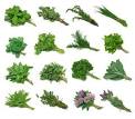 Cooking with fresh herbs, Tabouli recipe, Freezing fresh herbs