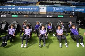 Image result for Swansea Rounders Team