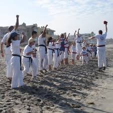 Image result for moray coast tang soo do