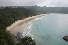 Image result for new chums beach