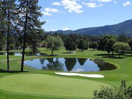 Image result for Avondale Gc