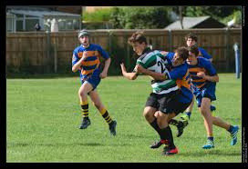 Image result for Tottonians Rugby Football Club