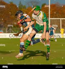 Image result for hurling