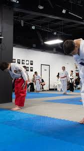 Image result for Martial Art Centre of Excellence