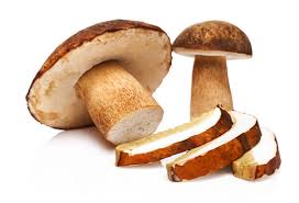 Attēlu rezultāti vaicājumam “Boletus edulis”