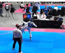 Image result for Quest Taekwondo