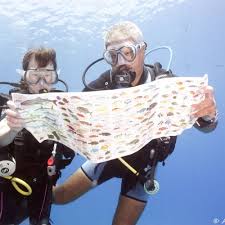 Image result for East Cheshire Sub-Aqua Club