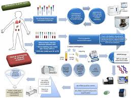 「アダムス・ティネル」の画像検索結果
