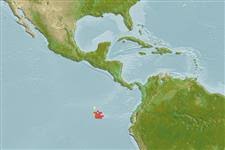 Image result for Mycteroperca olfax