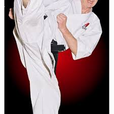 Image result for Twyford Higashi Karate Club