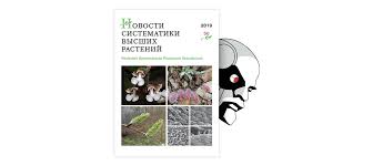 Attēlu rezultāti vaicājumam “Populus x lettland”