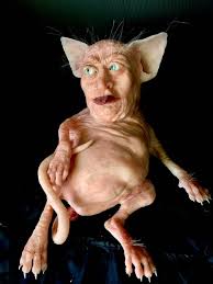 Image result for cat man