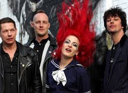 Kuvahaun tulos haulle bonsaikitten