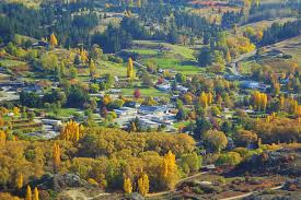 Attēlu rezultāti vaicājumam “Populus nigra Italica”