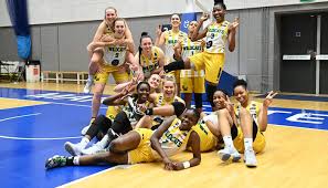 Image result for Nottingham Wildcats