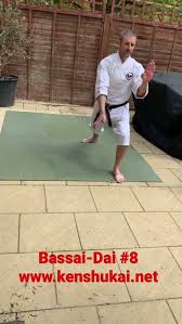 Image result for Kenshukai Karate