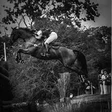 Image result for Jp-Sheffield Eventing