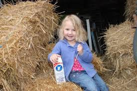 Four-year-old Annabelle Gibson chosen to promote goats milk ... - annabelle-403363