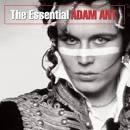 like Adam Ant exactly;