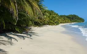 Image result for cahuita costa rica