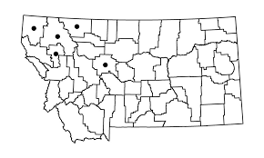 Attēlu rezultāti vaicājumam “Dicranella crispa”