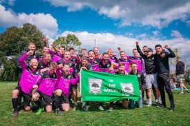 Image result for Newdigate F C