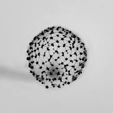 Attēlu rezultāti vaicājumam “Cribraria microcarpa”