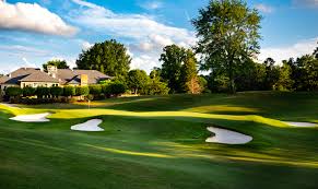 Image result for Gosfield CC