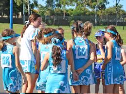Image result for Camelot Netball Club