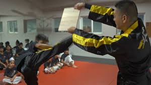 Image result for Surrey Taekwondo
