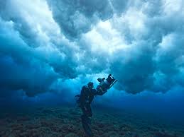Image result for Dive Solutions, London