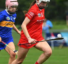 Image result for Erin`s Own Gaelic Athletic & Social Club