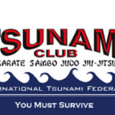 Image result for Tsunami Karate Club