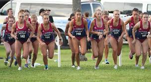 Image result for Crook and District Athletic Club