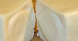 Image result for pálpusztai