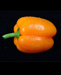 Afbeeldingsresultaat voor orange sun sweet pepper