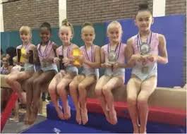 Image result for Bulmershe Gymnastics Club
