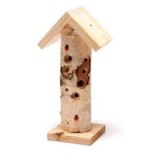 Image result for ladybug house