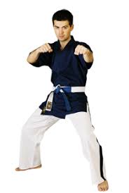 Image result for Yoseikan Budo England