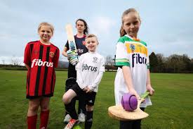 Image result for An Riocht Gaa Club