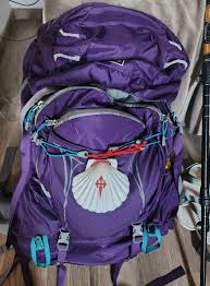 Image result for Pilgrims Sac