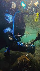 Image result for innerspace divers