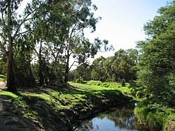 Image result for Box Hill SC