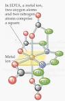CHELATION THERAPY WITH EDTA