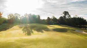 Image result for Peacehaven Golf Club