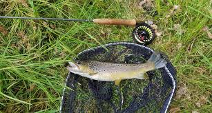 Image result for Segdoune Flyfishers` Angling Club