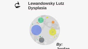 Image result for Lewandowsky-Lutz